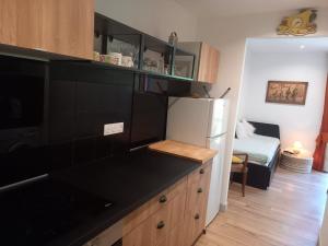 Appartements LA DOVA MARMOTTE : photos des chambres