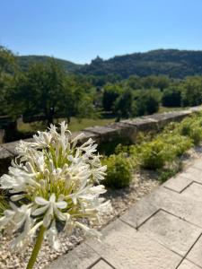 B&B / Chambres d'hotes Le clos de l’Ane Dentelle : photos des chambres