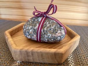 Brīvdienu mājas Lejnieki