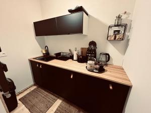 Maciejowiec Castle Hill Apartment I