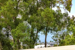 6 29 Noosa Drive Noosa Heads