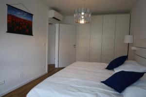 Penthouse Apartments