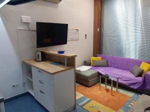 Apartments with WiFi Split - 19703