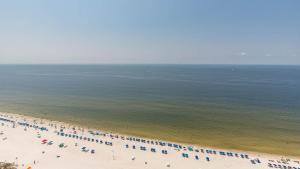 Phoenix Gulf Towers 2202 condo