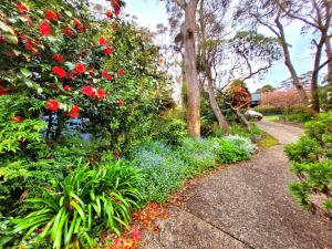 Nilgiri 3BR Mountain Retreat 5mins Katoomba Centre