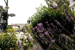 LANG Li by ROCKCHAIR Apartments l SUPERHOST Status l 2 Bedrooms Boxspringbeds in City Center - Cozy Family & Business Flair welcomes you!
