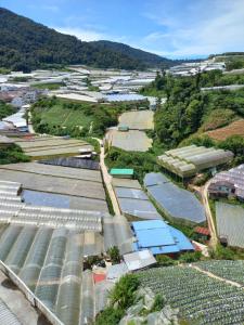 Nature Stay Cameron Highlands