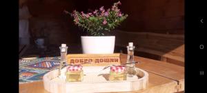 Kuća za odmor Filipović