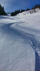 Ferienwohnung Marterer