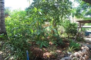 Jambiani Café & Bungalow