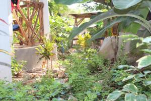 Jambiani Café & Bungalow