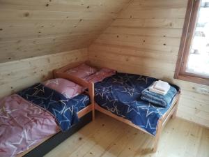 Planinska kuća Jovanić