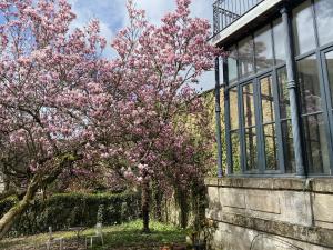 Appartements La Villa Beaupeyrat - Apparthotels de charme dans batisse de caractere : photos des chambres