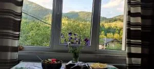 Автентичний Лофт Апартамент в Карпатах - 韦尔霍维纳