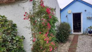 The Rockhouse - Cosy stone built Thatch Cottage