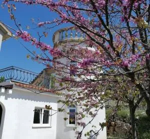 Villa Rapunzel - Skitača