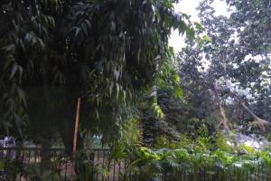 Moydom Nice & Cosy Private 1 BHK Apartment OPP NFC market