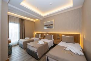 Triple Room room in Hotel Ravi