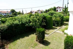 Maisons de vacances Etxe Ttippi : photos des chambres