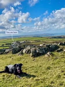 Charming coastal cottage - pet friendly! - Goodwick