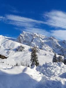 Appartement au cœur des Aravis
