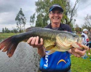 TangleWood Nature Estate