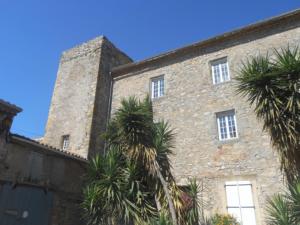 Sejours chez l'habitant Logis de La Meschaussee, dans donjon du XIe siecle : photos des chambres