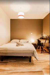 Appartements Studio avec wifi a Saint Chamond : photos des chambres