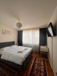 Apartament central Milea