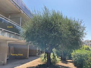 Le Brusc Port Plages Parking privé