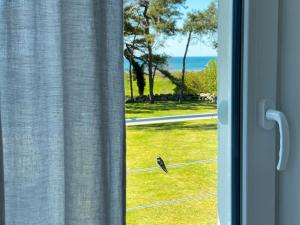 Villa Windflüchter Ferienwohnung 3