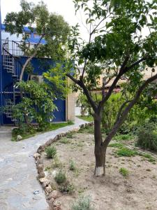 Loft Anna d’Este - design & garden - img19