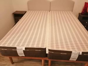 Green Empathy Studio Castel Gandolfo