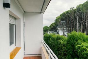 Two-Bedroom Apartment room in Apartaments Falcó
