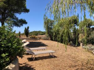 Il Giardino di Elettra img10