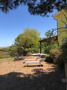 Il Giardino di Elettra img12