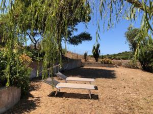 Il Giardino di Elettra img11