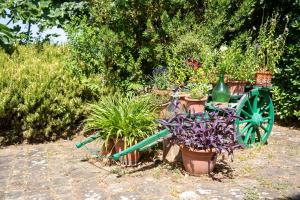 Charming Florentine Hideout