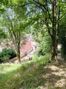 Maisons de vacances Gite l'Oree des Vignes : photos des chambres