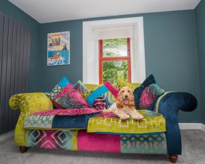 Tig Cottage - a rural, quirky, pet friendly 2 bedroom cottage near Ballantrae