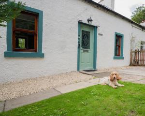Tig Cottage - a rural, quirky, pet friendly 2 bedroom cottage near Ballantrae
