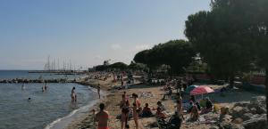 Villas La villa Olly 2 : photos des chambres