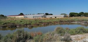 Villas La Villa Olly 3 : photos des chambres