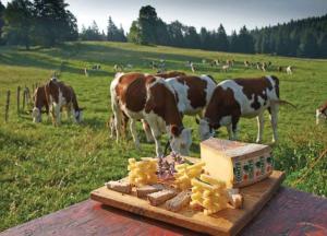 Villas GITE La fromagerie Haut Jura : photos des chambres