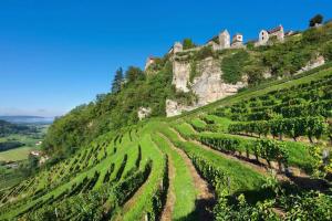 Villas GITE La fromagerie Haut Jura : photos des chambres