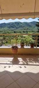 Elenis Villa House