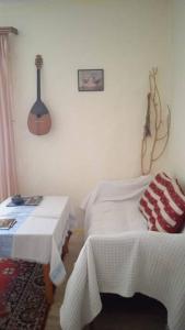 Unique 100 y old Dalmatian 3 bedrooms House, under mountain, 14km NP KRKA,30 mins drive to beach