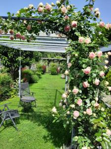 Guest House Gardenia & Wine Cellar