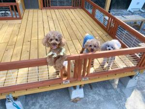 日向サーフキャンプ106