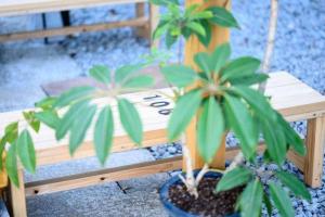 日向サーフキャンプ106